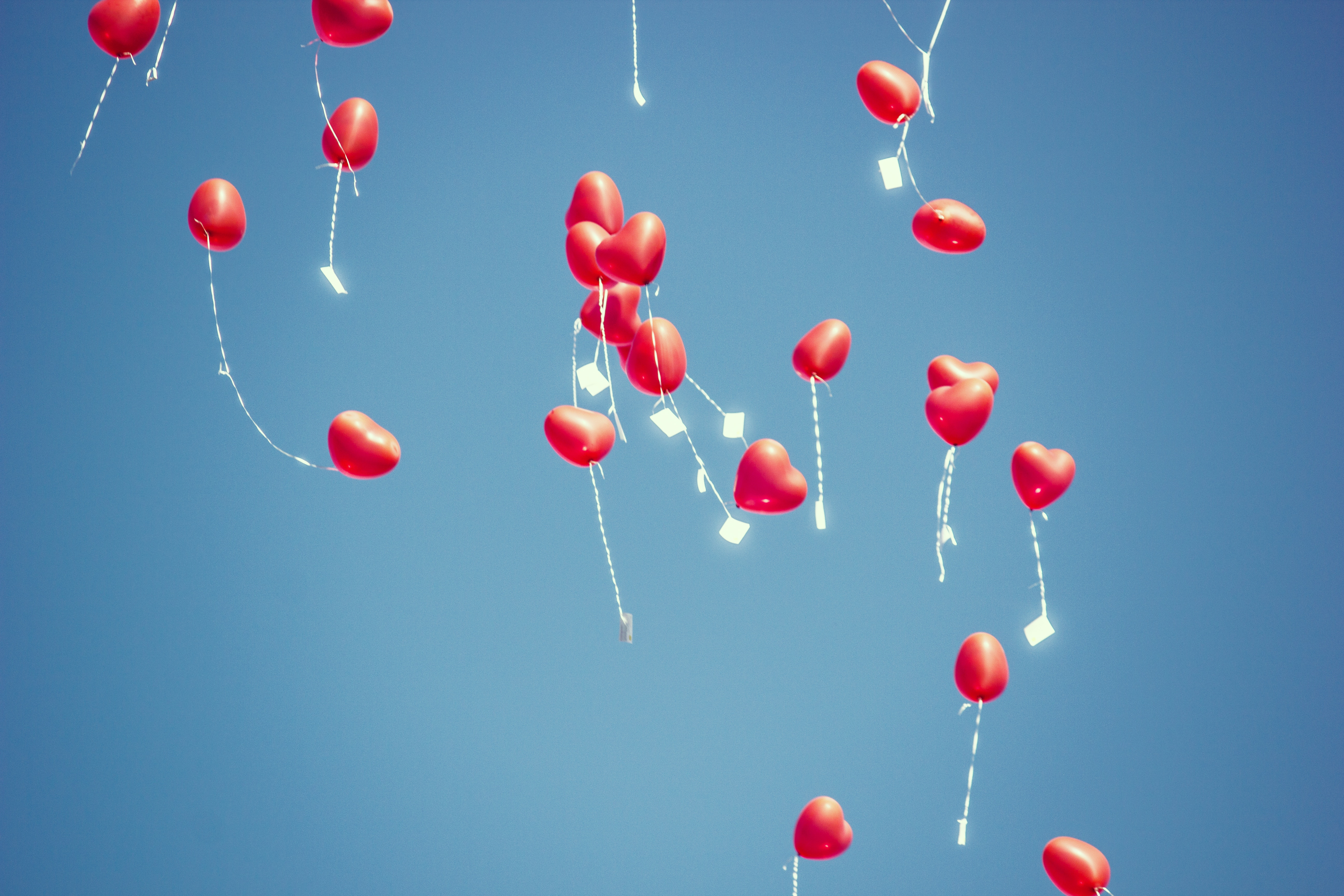 michael-schaffler-1056151-unsplash