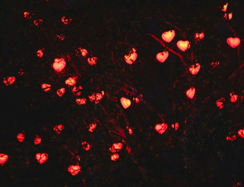 Le champ magnétique du coeur ©